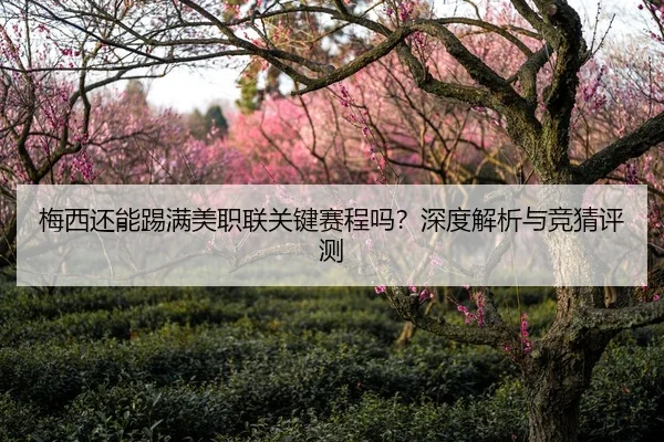 梅西还能踢满美职联关键赛程吗？深度解析与竞猜评测